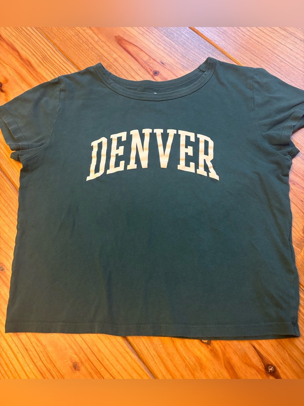 Hollister Women’s Crop Top Tee Denver Green Small